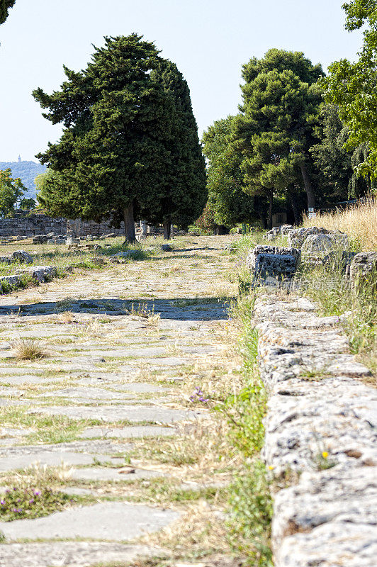 罗马神庙- Paestum